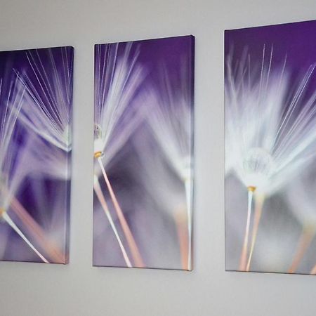 Apartamenty Krawiecka Zielona Gora  Luaran gambar